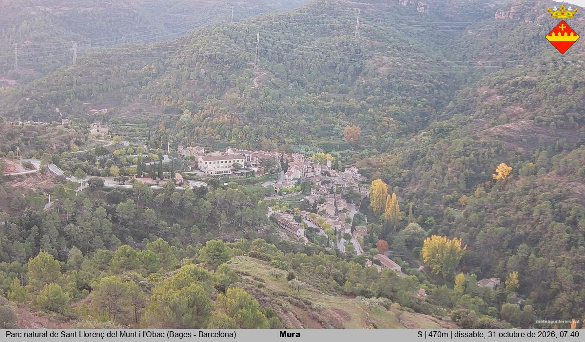 Mura 