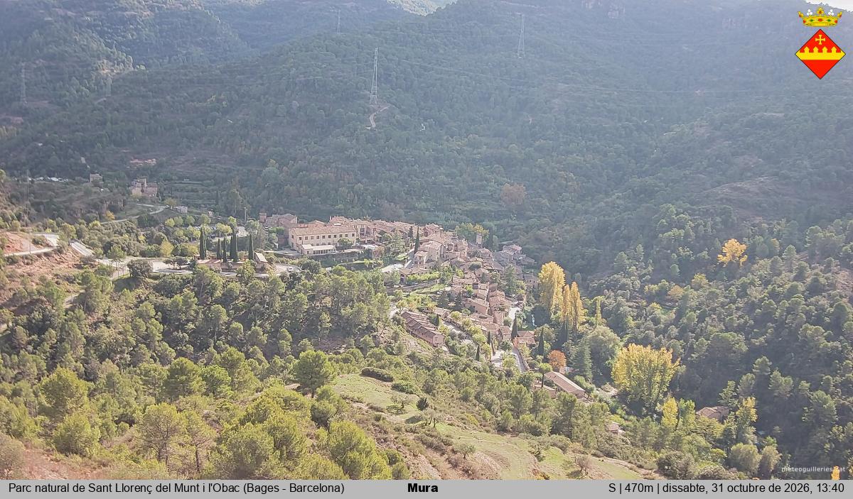 Mura 