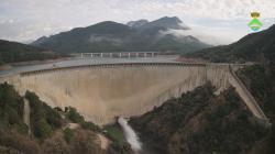 Webcams