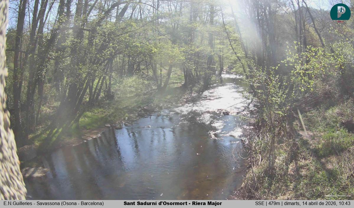Sant Sadurní d'Osormort - Riera Major