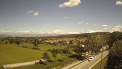 Webcams