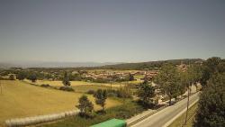 Webcams