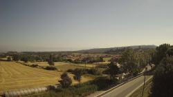 Webcams