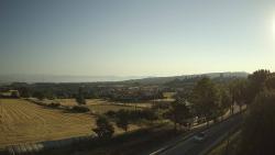 Webcams