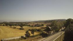 Webcams