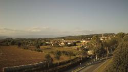 Webcams