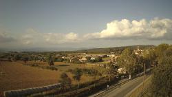Webcams