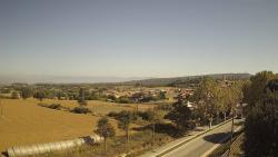 Webcams