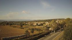Webcams