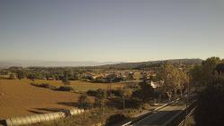 Webcams