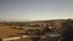 Webcams