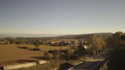 Webcams