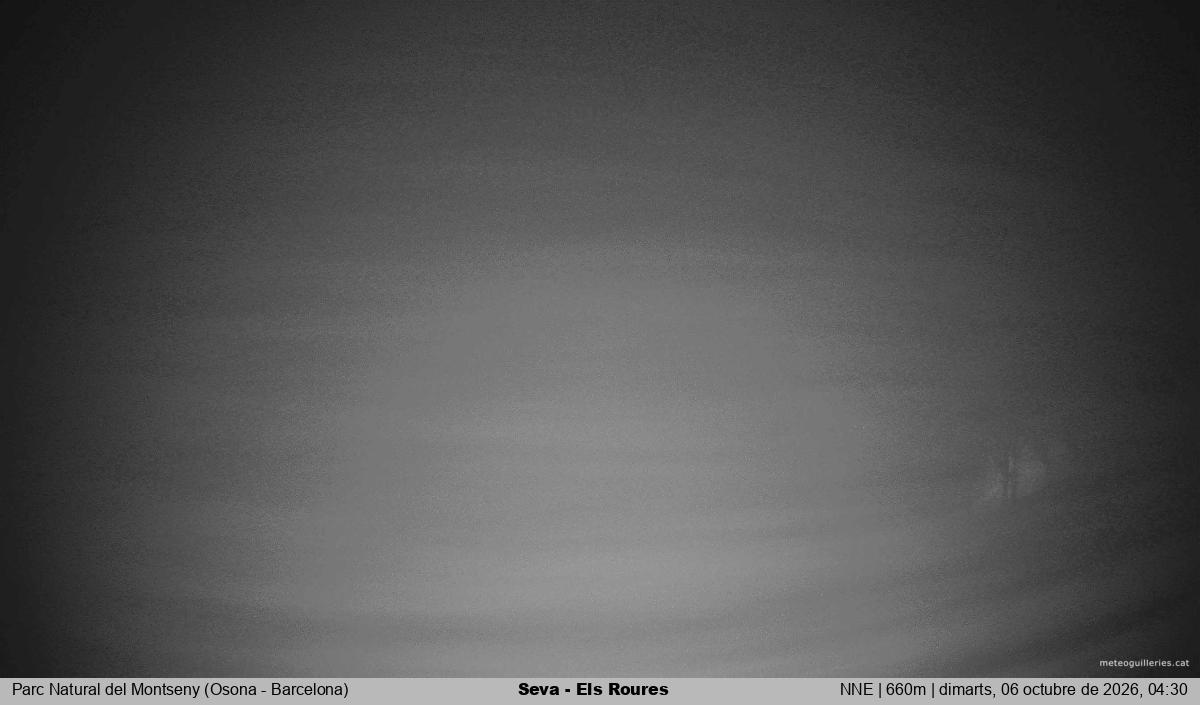 Seva - Els Roures