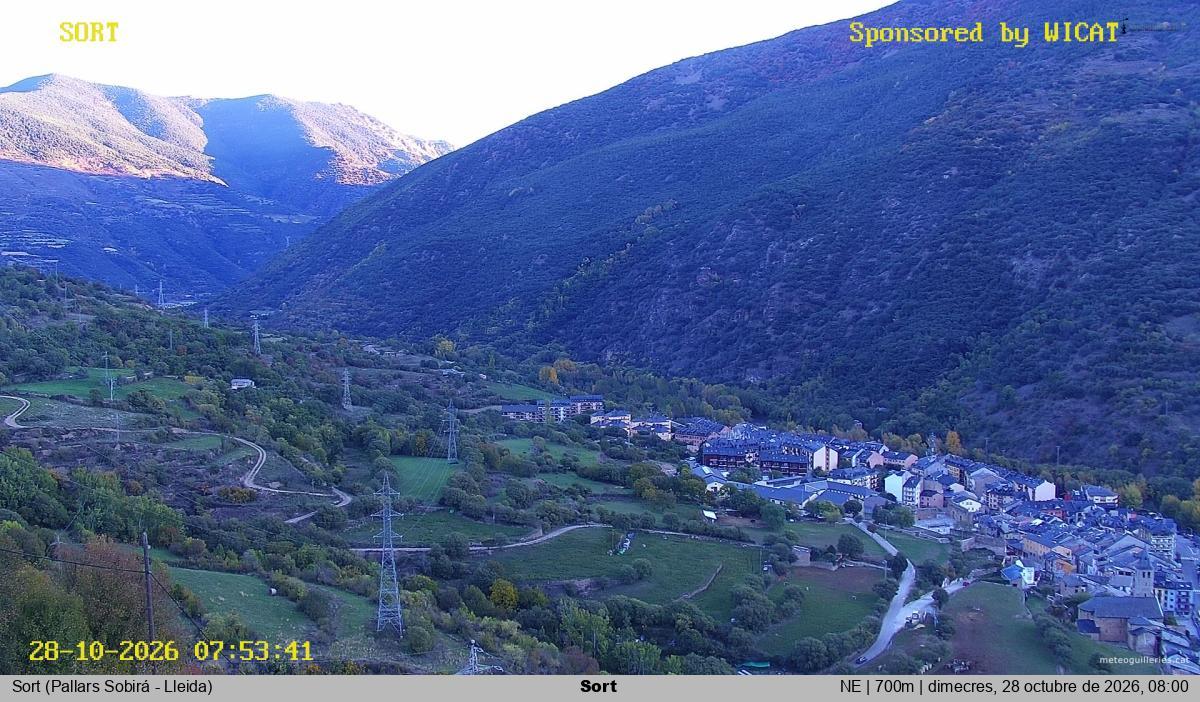 Sort