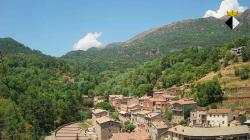 Webcams