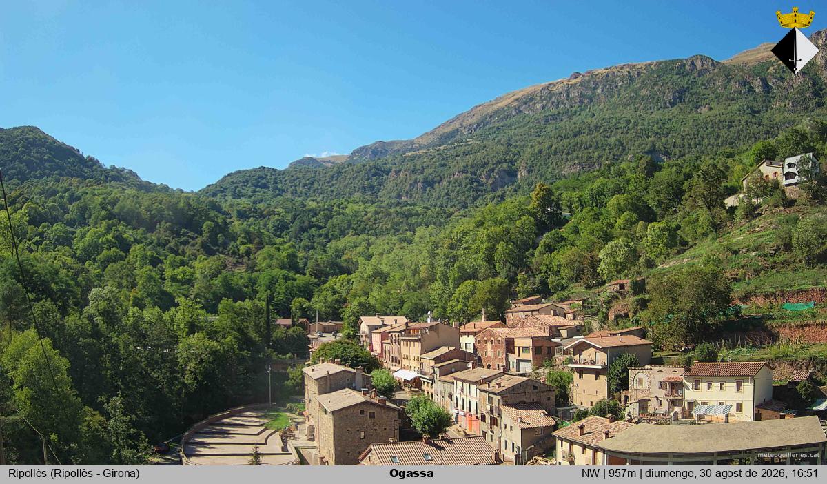 Ogassa