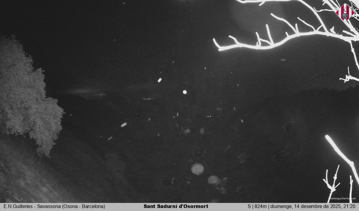 Sant Sadurní d'Osormort 