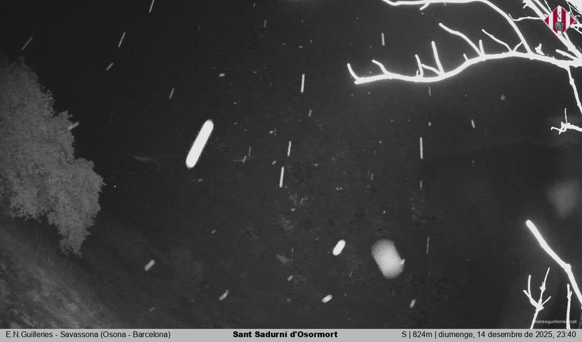 Sant Sadurní d'Osormort 