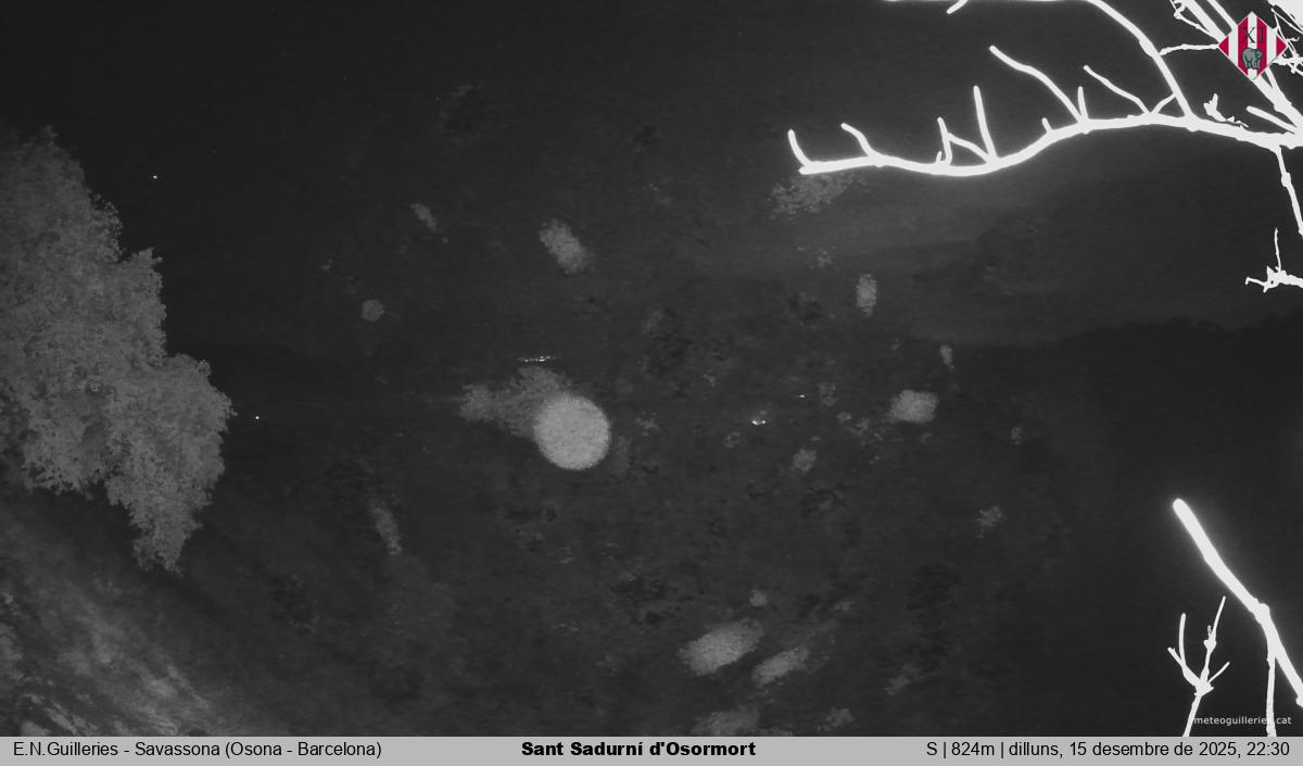 Sant Sadurní d'Osormort 