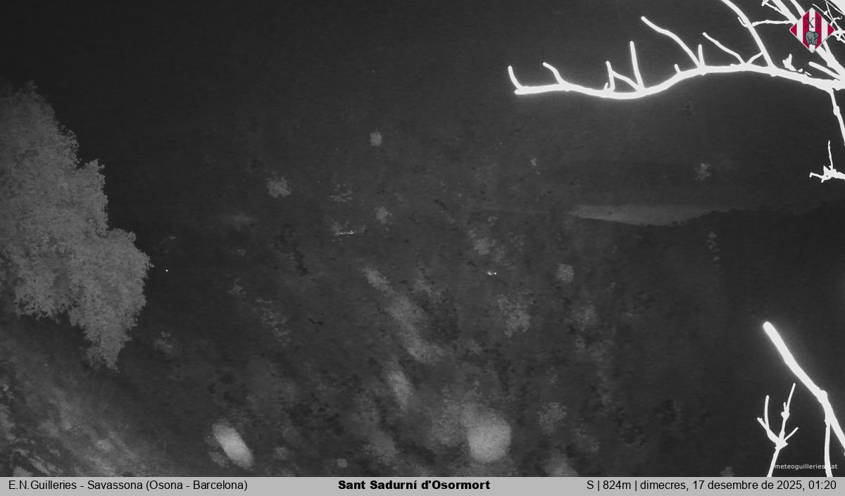 Sant Sadurní d'Osormort 