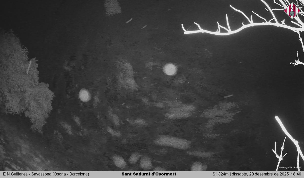 Sant Sadurní d'Osormort 