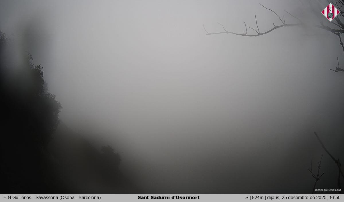 Sant Sadurní d'Osormort 