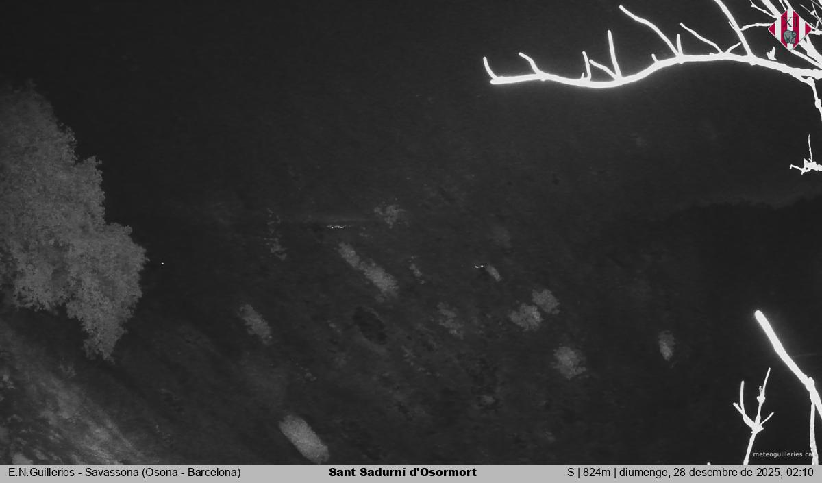 Sant Sadurní d'Osormort 