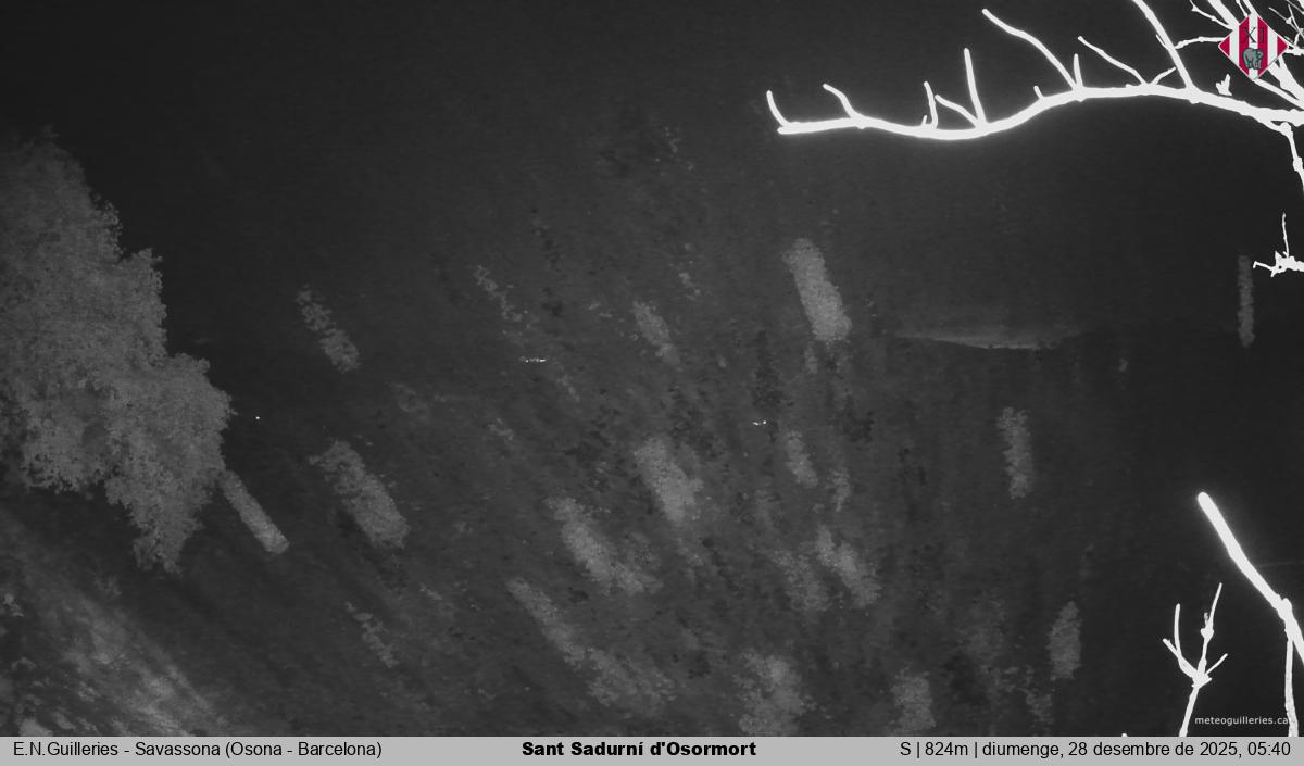 Sant Sadurní d'Osormort 