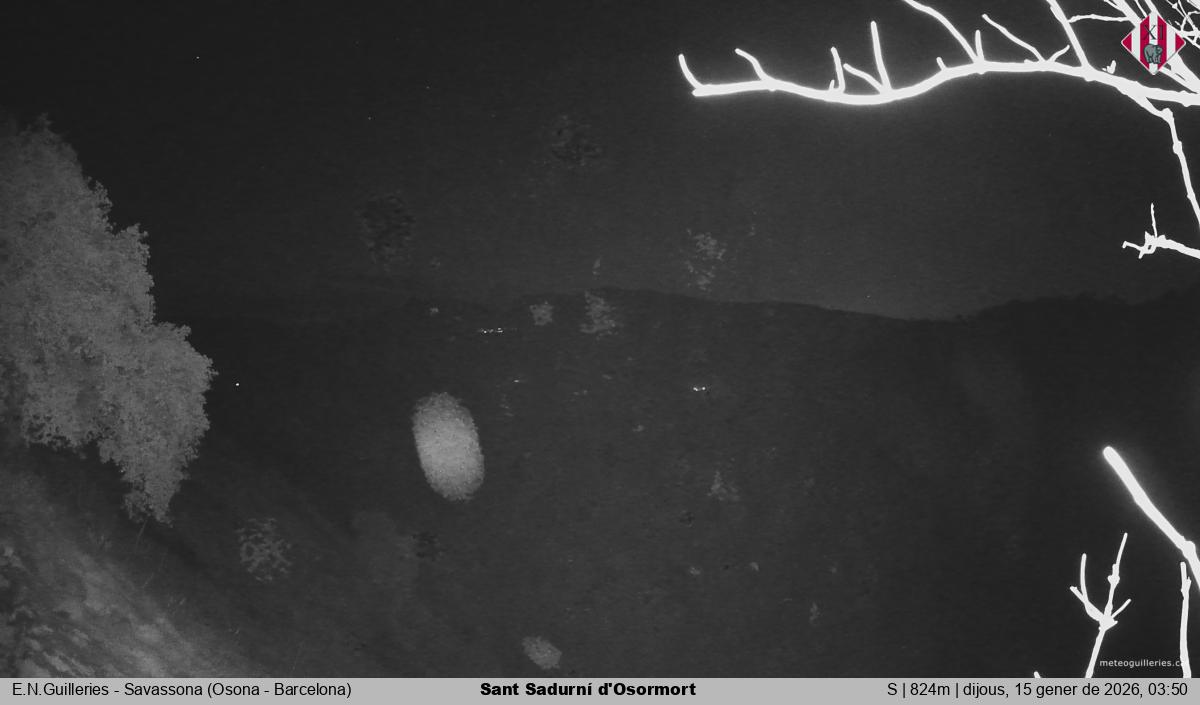 Sant Sadurní d'Osormort 