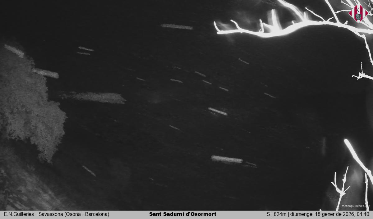 Sant Sadurní d'Osormort 