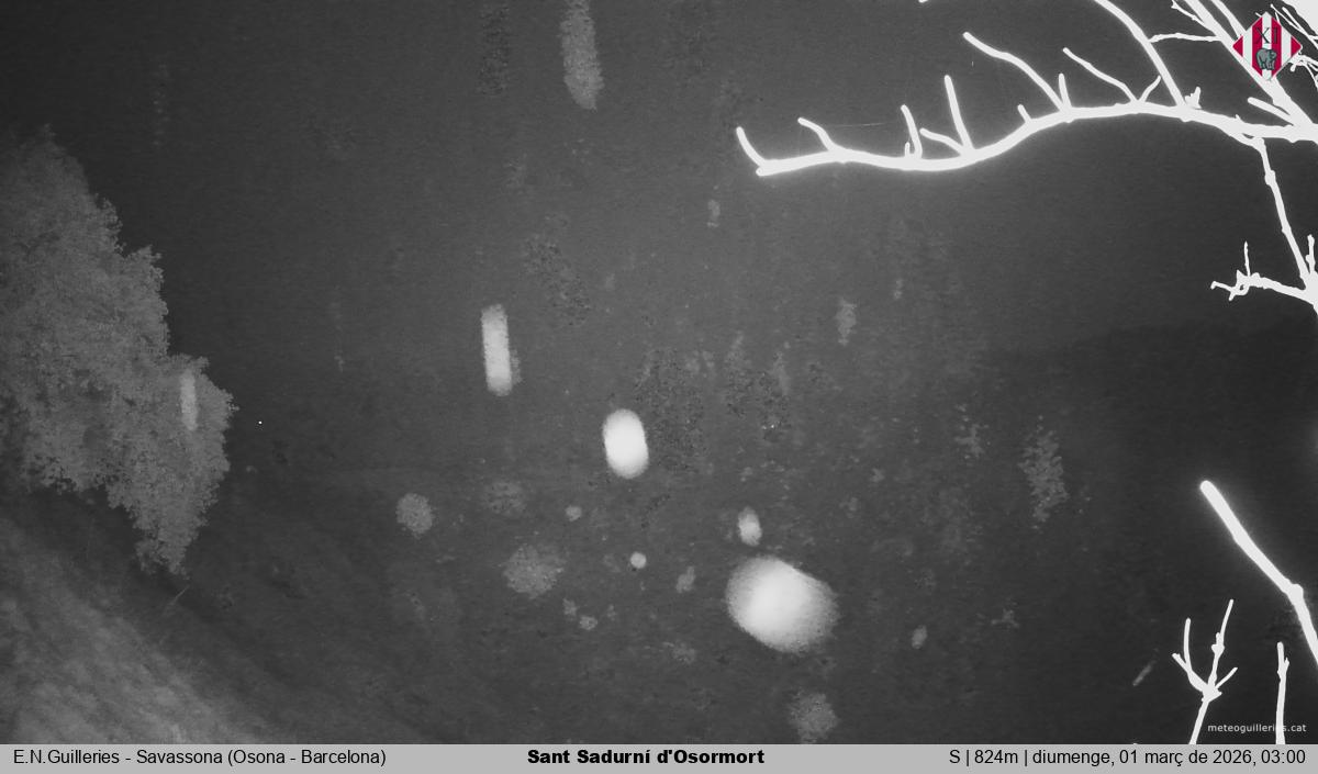 Sant Sadurní d'Osormort 