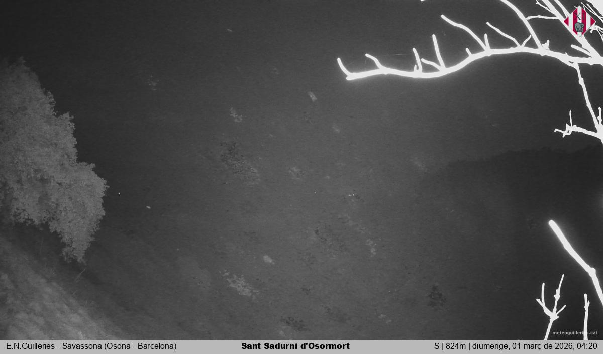 Sant Sadurní d'Osormort 