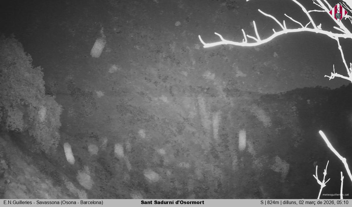 Sant Sadurní d'Osormort 