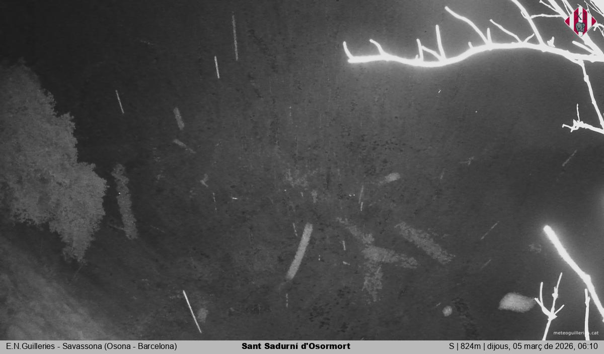 Sant Sadurní d'Osormort 