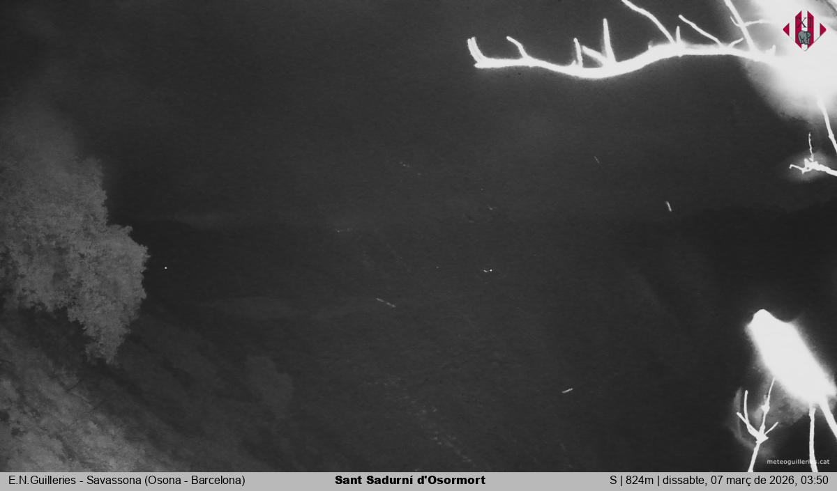 Sant Sadurní d'Osormort 