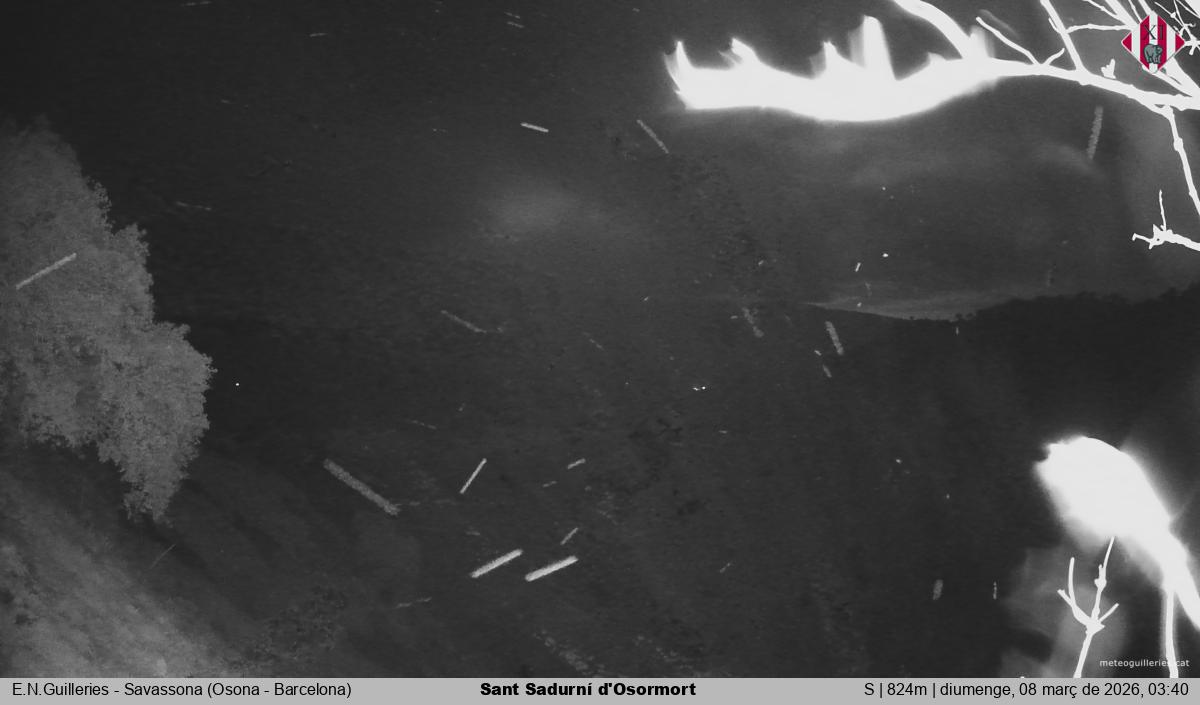 Sant Sadurní d'Osormort 