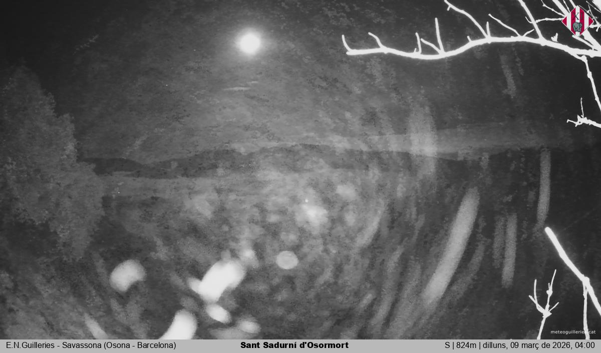 Sant Sadurní d'Osormort 