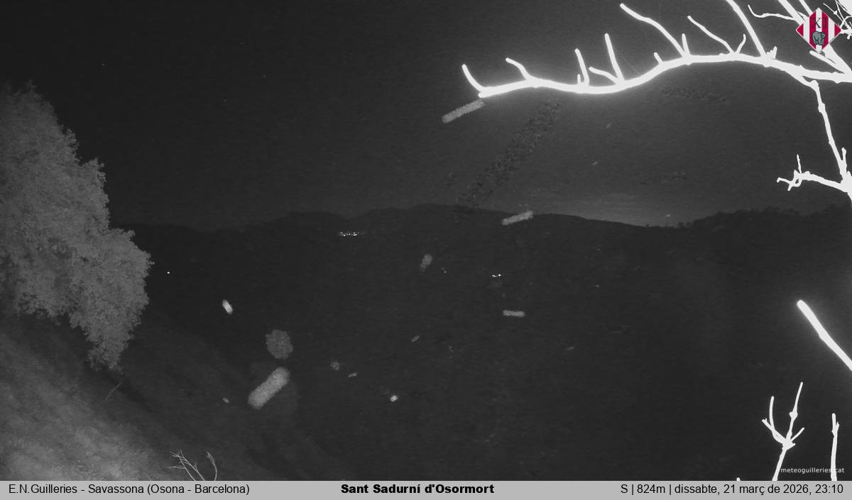 Sant Sadurní d'Osormort 