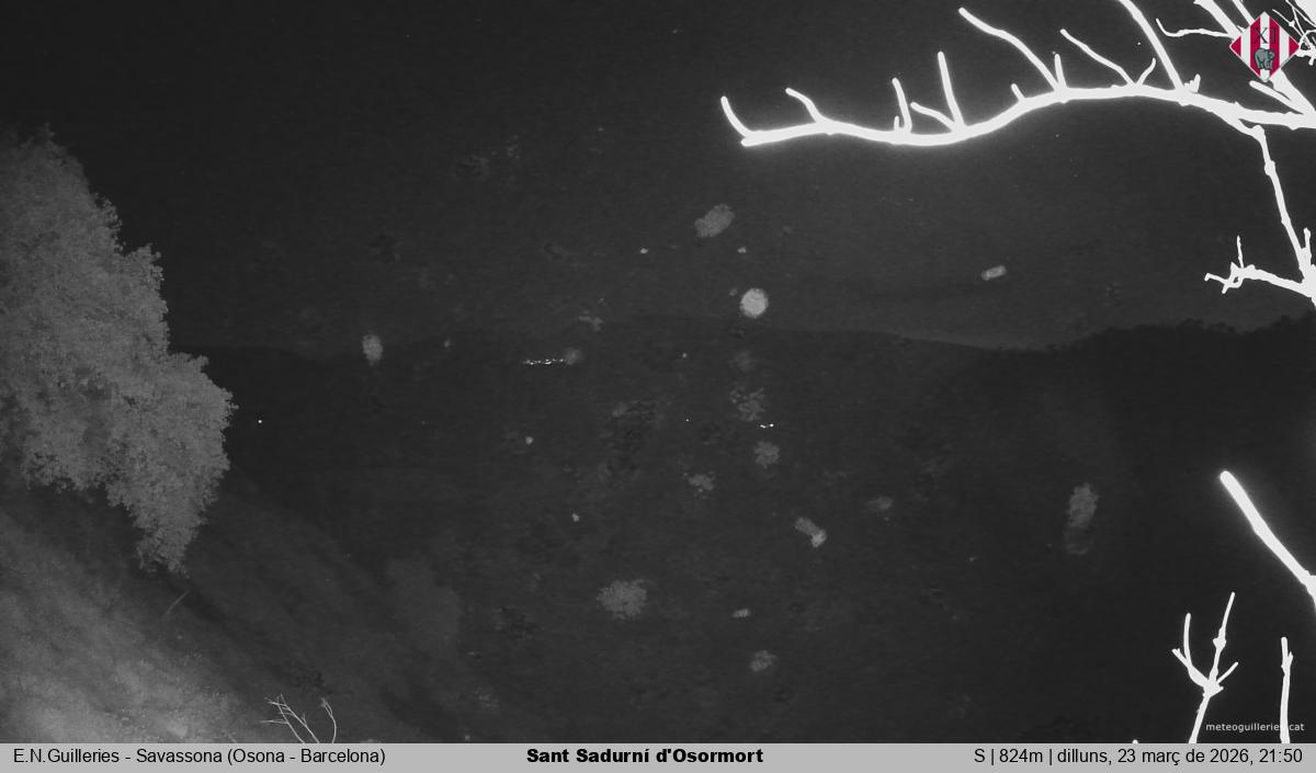 Sant Sadurní d'Osormort 