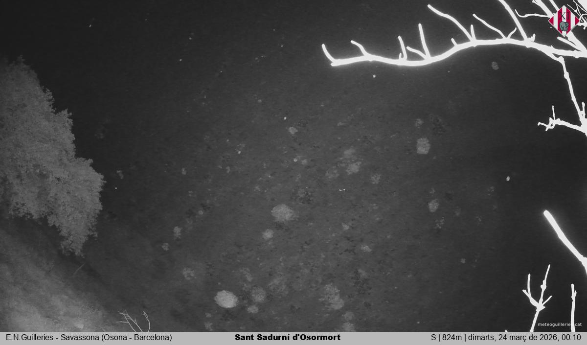 Sant Sadurní d'Osormort 