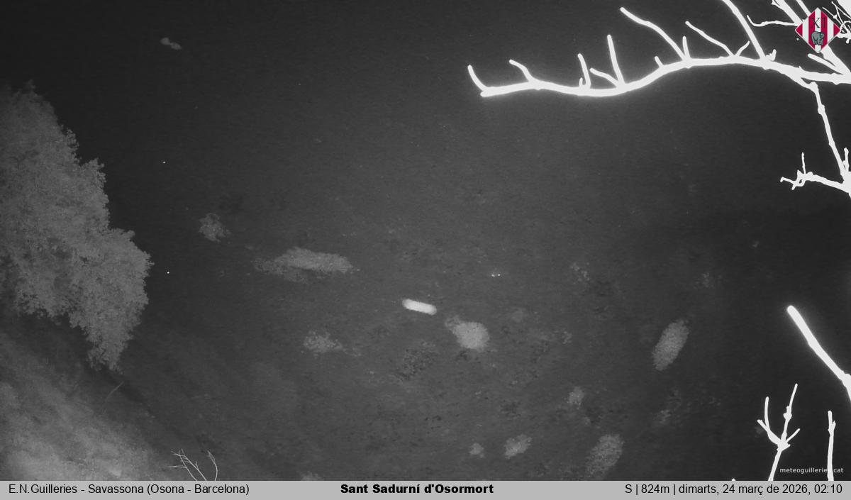 Sant Sadurní d'Osormort 