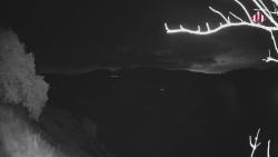 Webcams