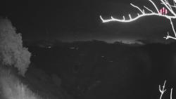 Webcams