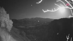 Webcams
