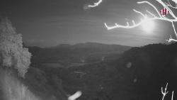Webcams