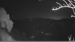 Webcams
