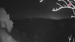 Webcams