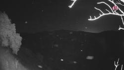 Webcams