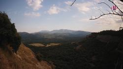 Webcams