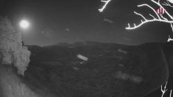 Webcams